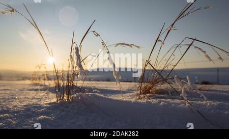 Winter Sonnenuntergang auf einem offenen Feld. Das Gras ist mit Schnee bedeckt. Stockfoto