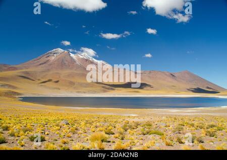 Wunderschöne Landschaften von den Altiplanos bei san pedro de atacama Stockfoto