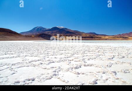 Wunderschöne Landschaften von den Altiplanos bei san pedro de atacama Stockfoto