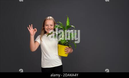 Positive Teenager-Mädchen zeigt ok Geste hält Zimmerpflanze, grüne Blume in gelben Topf. Isoliert auf grauem Hintergrund. Speicherplatz kopieren Stockfoto