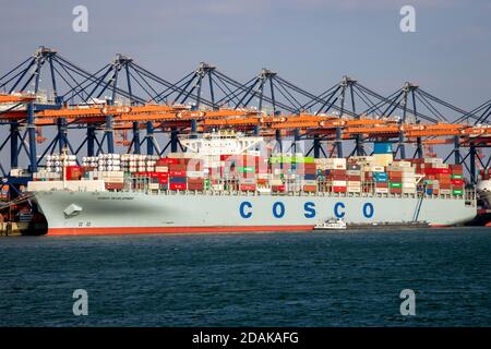 COSCO-Containerschiff, das im ECT Shipping Terminal im Hafen von Rotterdam mit Portalkranen verladen wird. März 16, 2016 Stockfoto