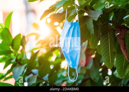 Ausrangierte OP-Maske, die an einem Baum gegen Sonneneinstrahlung hängt. Stockfoto