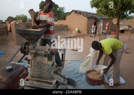 Selingue, Mali, 27. April 2015; Reissentälung. Adama Tankara, 12, arbeitet mit seinem Bruder zusammen. Die Maschine gehört ihnen. Stockfoto