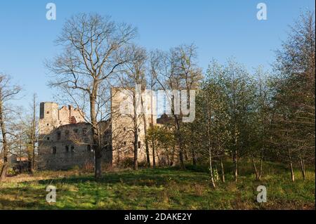 Burg Drzewica, Kreis Opoczno, Woiwodschaft Łódź, in Mittelpolen Stockfoto