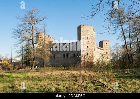 Burg Drzewica, Kreis Opoczno, Woiwodschaft Łódź, in Mittelpolen Stockfoto