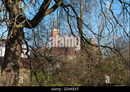 St. Lucas Kirche in Drzewica, Kreis Opoczno, Woiwodschaft Łódź, in Mittelpolen Stockfoto