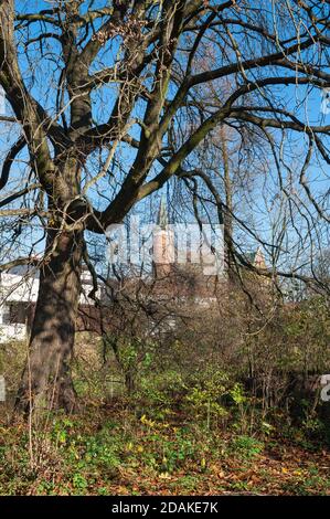 St. Lucas Kirche in Drzewica, Kreis Opoczno, Woiwodschaft Łódź, in Mittelpolen Stockfoto