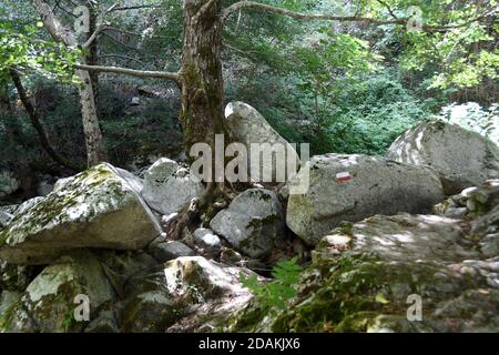 Bivongi RC - Fiumara Stilaro , vallone Folea Kredit : Giuseppe Andidero Stockfoto