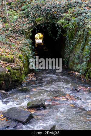 Eine ungezähmte Quelle fließt durch einen Culvert unter Meltham Greenway, West Yorkshire Stockfoto