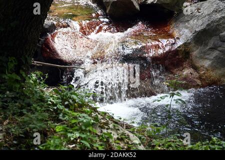 Bivongi RC - Fiumara Stilaro , vallone Folea Kredit : Giuseppe Andidero Stockfoto