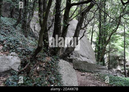 Bivongi RC - Fiumara Stilaro , vallone Folea Kredit : Giuseppe Andidero Stockfoto