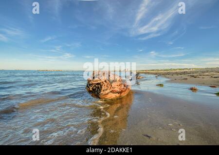 Blick auf die marine die Küste mit einem Strände trunk Stockfoto