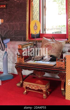 Katzen in einem buddhistischen Tempel (wat norarat) In bangkok in thailand Stockfoto