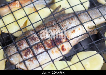 Gebratener Seebarsch mit Kartoffeln auf dem Grill Stockfoto