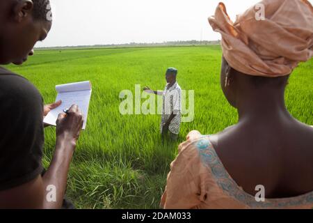 Selingue, Mali, 28th. April 2015; Madame Sogoba, Landtechnikerin, Beratung von Landwirt Alou Doumbia. Er erklärt, dass seine Ernte ist nicht sehr voraus Stockfoto