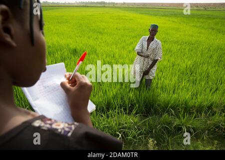 Selingue, Mali, 28th. April 2015; Madame Sogoba, Landtechnikerin, Beratung von Landwirt Alou Doumbia. Er erklärt, dass seine Ernte ist nicht sehr voraus Stockfoto