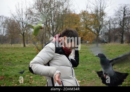 Junge Person lachend Vögel versuchen, auf ihr zu sitzen Stockfoto