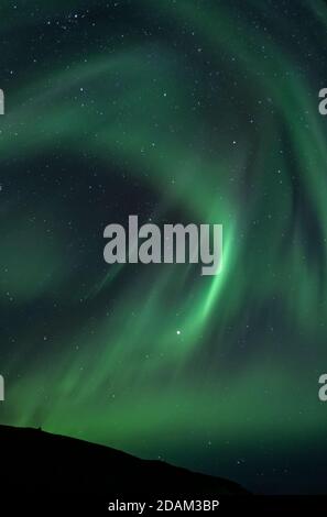 Nordlichter, Aurora Borealis, Alaska Stockfoto