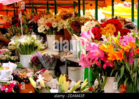 Blumen zum Verkauf auf dem Grünen Markt, Split, Kroatien Stockfoto