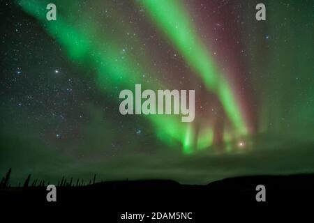 Nordlichter, Aurora Borealis, Arktisches Alaska Stockfoto