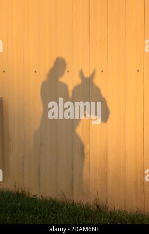 Silhouette eines Sattelpferdes mit unbekannter Reiterin. Reiten Frau Reiten auf Sonnenuntergang in einem ländlichen Reitzentrum als Atmosphäre Hintergrund Stockfoto