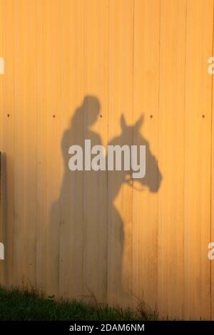 Silhouette eines Sattelpferdes mit unbekannter Reiterin. Reiten Frau Reiten auf Sonnenuntergang in einem ländlichen Reitzentrum als Atmosphäre Hintergrund Stockfoto