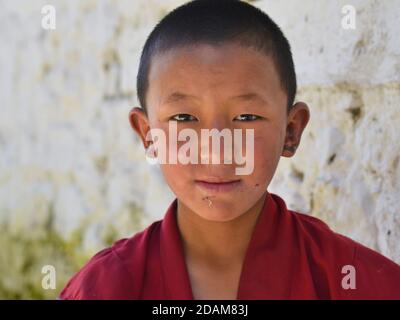 Ruhiger kleiner tibetischer buddhistischer Junge Mönch in kastanienbraunen Gewand posiert für die Kamera im Tawang Kloster. Stockfoto