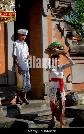 Junge Balinesin, die Tempelopfer trägt und traditionelle balinesische Kleidung für das Festival von Galungan, Ubud, Bali, Indonesien trägt Stockfoto