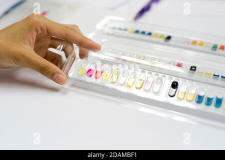 Bakterienidentifikationstests zur Identifizierung von Gram-positiven und Gram-negativen Bakterien und Hefen. Stockfoto