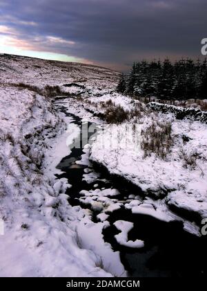 Eine winterliche Szene des North Rotten Burn, der sich im Clyde Muirshiel Regional Park in Schottland befindet. Stockfoto