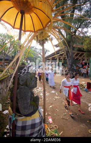 Balinesische Tempelgänger in festlicher Kleidung für Feierlichkeiten zu Ehren von Galungan, Sakenan-Tempel, Bali, Indonesien Stockfoto