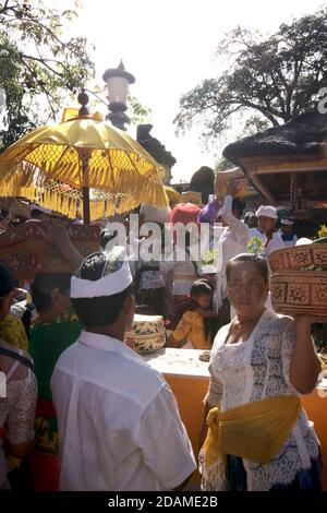 Balinesische Tempegoer besuchen Sakenan Tempel für Galungganfeiern, Bali, Indonesien. Frau, die einen Korb mit Opfergaben trägt Stockfoto