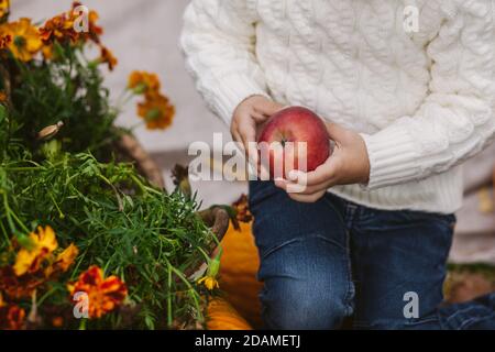 Ein Junge hält einen roten reifen Apfel in den Händen Nahaufnahme. Kinderhände halten einen roten Apfel. Stockfoto