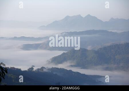 Morgennebel über der burmesischen Ebene (Bundesstaat Shan) am frühen Morgen, gesehen von Banlau, Lincang County, Süd-Yunnan Provinz, China Januar 2013 Stockfoto