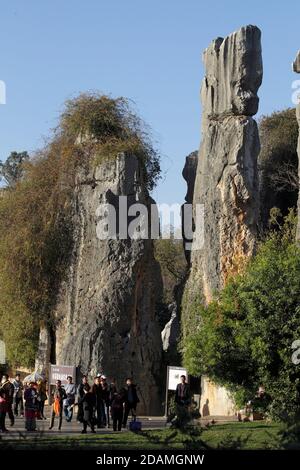 Shilin (Steinwald), Touristenattraktion in der Nähe von Kunming, Yunnan, China Jan 2013 Stockfoto