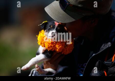 Lalitpur, Nepal. November 2020. Ein Hundeliebhaber küsst einen Hund, der mit Girlanden und Millionen Farben im Tierheim dekoriert ist, während Kukkur Tihar, dem Hundeverehrungsfestival in Lalitpur, Nepal, am Samstag, 14. November 2020. Kredit: Skanda Gautam/ZUMA Wire/Alamy Live Nachrichten Stockfoto