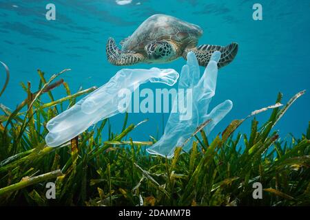 Plastikmüll Verschmutzung im Meer, Einweghandschuhe mit Seegras und eine Meeresschildkröte unter Wasser Stockfoto