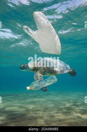 Plastikmüll Verschmutzung unter Wasser, eine Meeresschildkröte mit Plastiktüte und Flasche im Meer Stockfoto