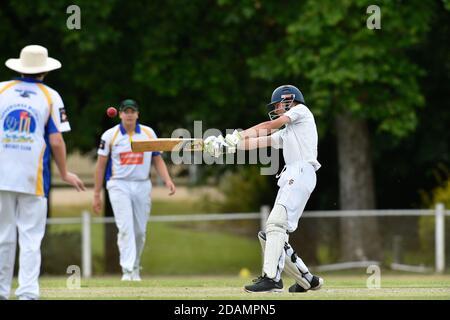 November 2020, 14. Benalla Bushrangers Cricket Club Under 16s / Mulwala Cricket Club Stockfoto