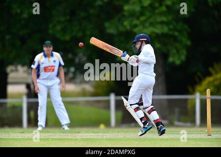 November 2020, 14. Benalla Bushrangers Cricket Club Under 16s / Mulwala Cricket Club Stockfoto