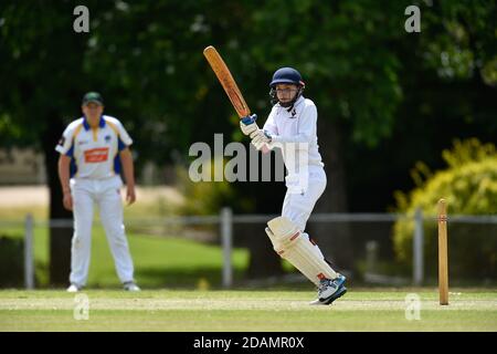 November 2020, 14. Benalla Bushrangers Cricket Club Under 16s / Mulwala Cricket Club Stockfoto