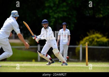 November 2020, 14. Benalla Bushrangers Cricket Club Under 16s / Mulwala Cricket Club Stockfoto