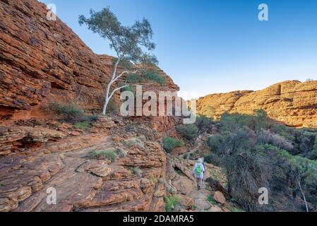 Die abgelegene Trockenlandschaft im Kings Canyon, Northern Territory, Australien Stockfoto