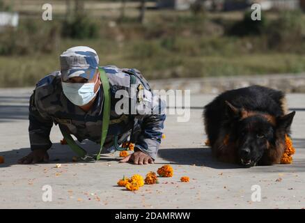 14. November 2020, Kathmandu, NE, Nepal: Ein Sniffer feiert, nachdem er anlässlich des jährlichen Kukur Tihar Festivals, auf dem Menschen Hunde anbeten, in Kathmandu, am Samstag, 14. November 2020, verehrt wird. (Bild: © Aryan Dhimal/ZUMA Wire) Stockfoto