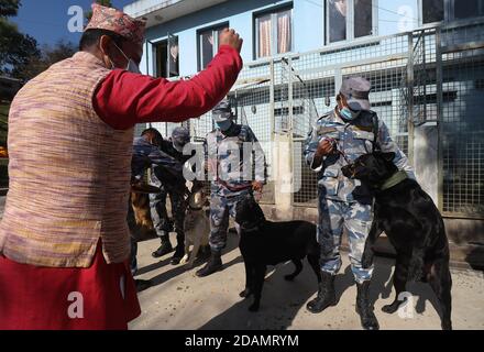 14. November 2020, Kathmandu, NE, Nepal: Nepalesen feiern am Samstag, den 14. November 2020 in Kathmandu das alljährliche Kukur Tihar-Fest, die Verehrung der Hunde. (Bild: © Aryan Dhimal/ZUMA Wire) Stockfoto