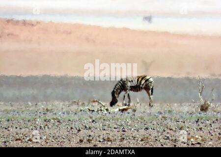 Ein einsame Ebene Zebra (Equus quagga) in einer Fata Morgana in der Namib Wüste bei NamibRand, Hardap Region, Namibia. Stockfoto