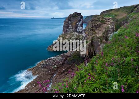 Cap Frehel - Blick auf das Birdrock, das auch ein Naturschutzgebiet ist, unterhalb des Leuchtturms am Cap Frehel. Bretagne Frankreich Stockfoto