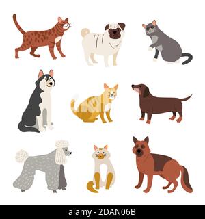 Verschiedene Haustiere Sortiment Vektor-Illustration Stock Vektor