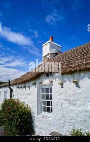 Cottage in Cregneash zeigt traditionelle Art und Weise der Bindung von Strohdach Zum vorspringenden Stein Stockfoto