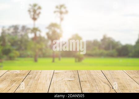 Holztisch Vordergrund mit Morgen Sonnenaufgang grünen Reisfeld natürliche Weichzeichnung Hintergrund für die Werbung Landwirtschaft Produkte. Stockfoto